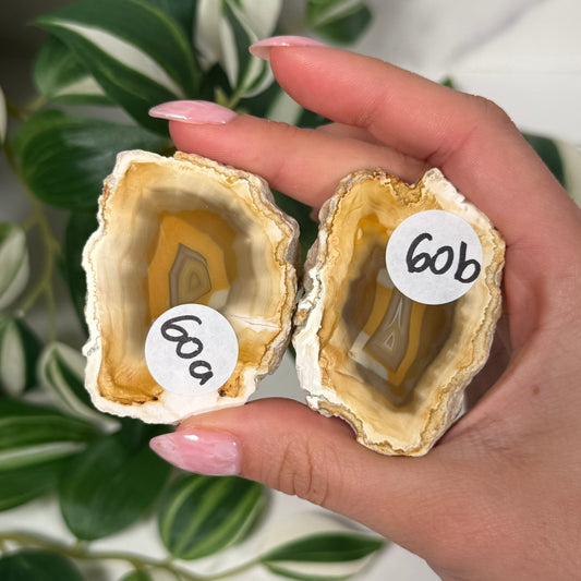 Indonesian agate pair 100