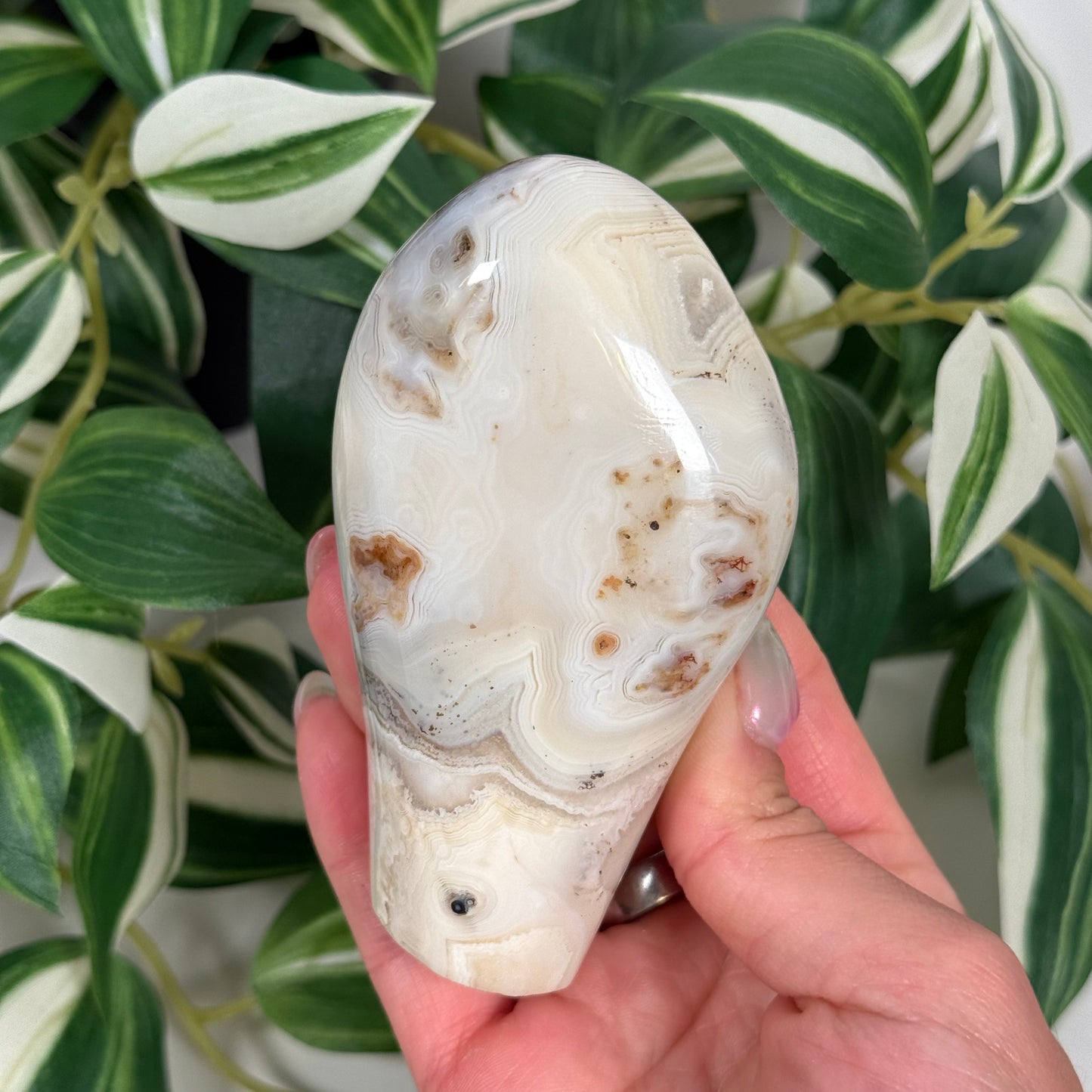 Agate freeform