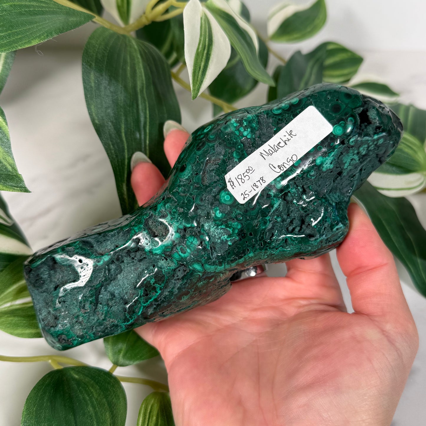 Malachite freeform
