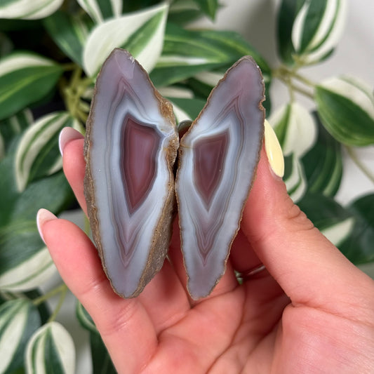 Swazi agate pair 150