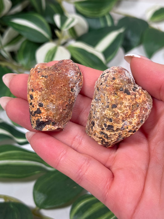 Queensland agate pair 80 (parallax)