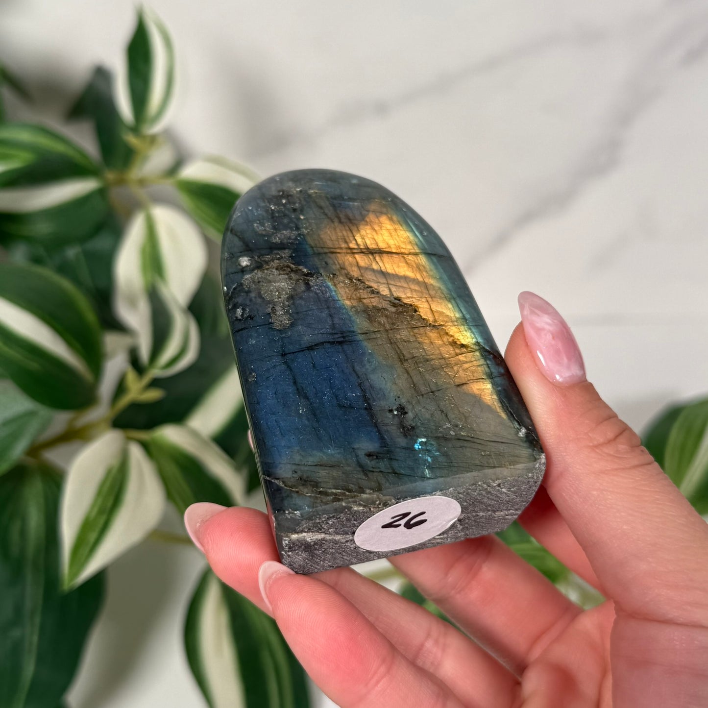Labradorite freeform 26