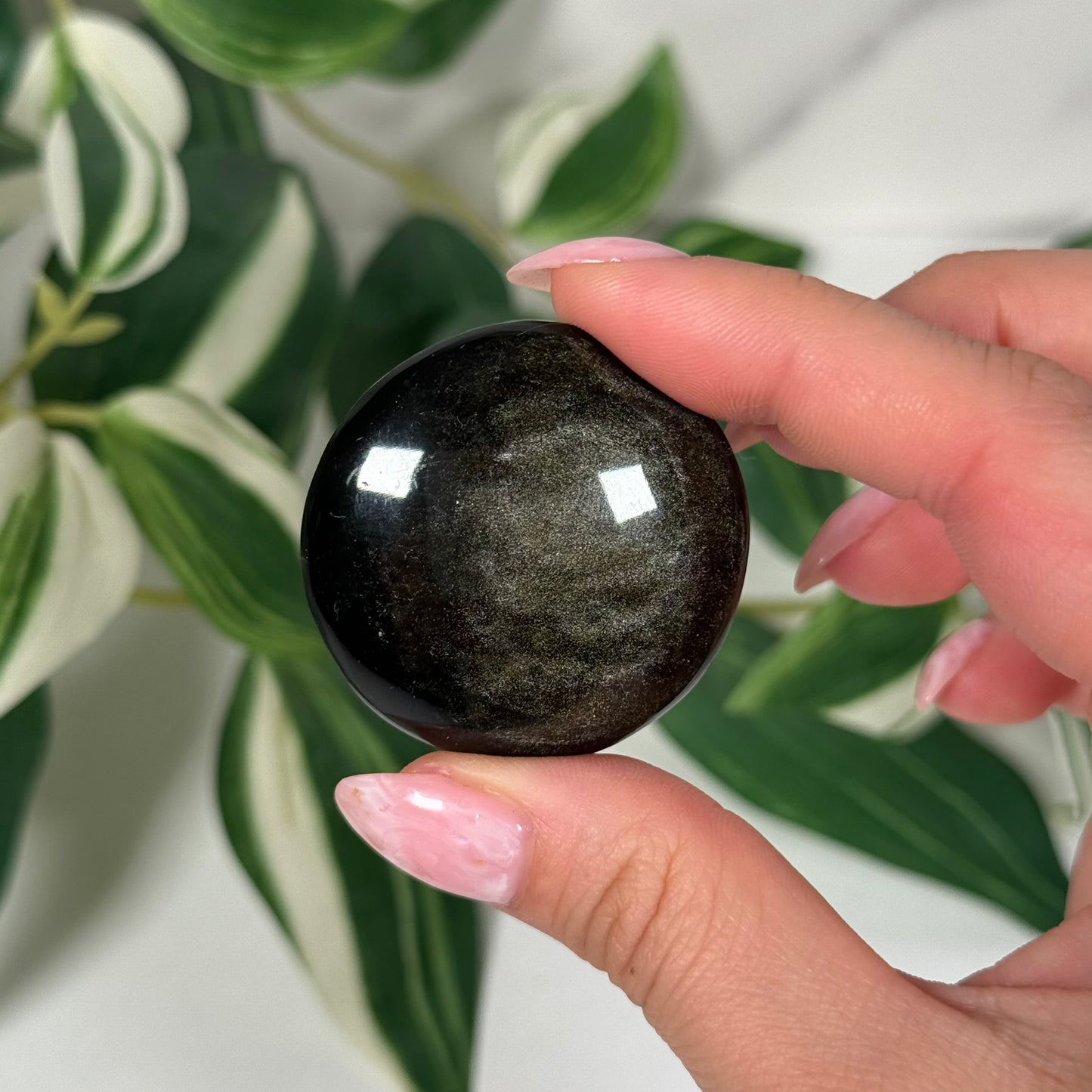 Gold sheen obsidian “cookie”
