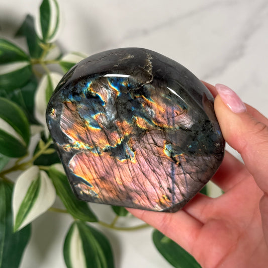 Labradorite freeform 51