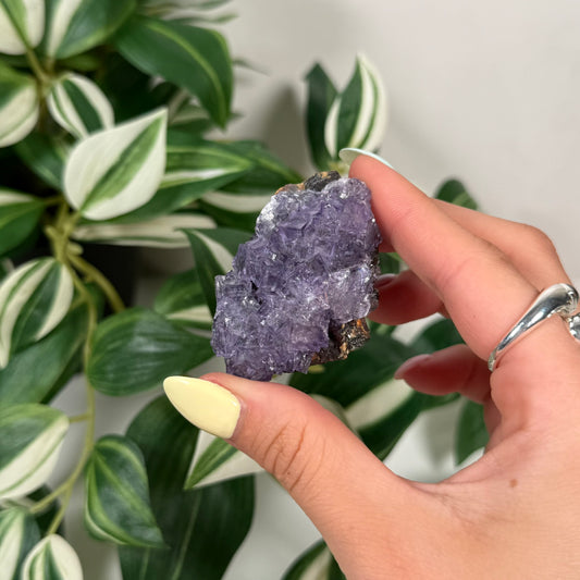 Elmwood mine fluorite with sphalerite