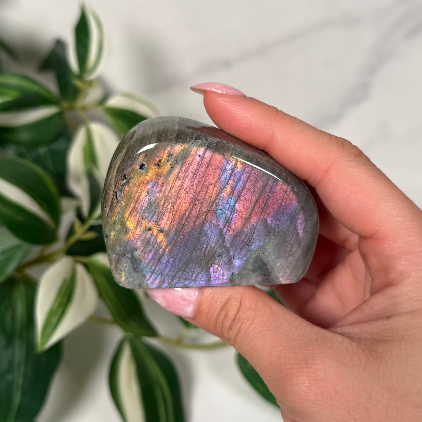 Labradorite freeform 21b