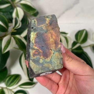 Labradorite partially polished freeform 19