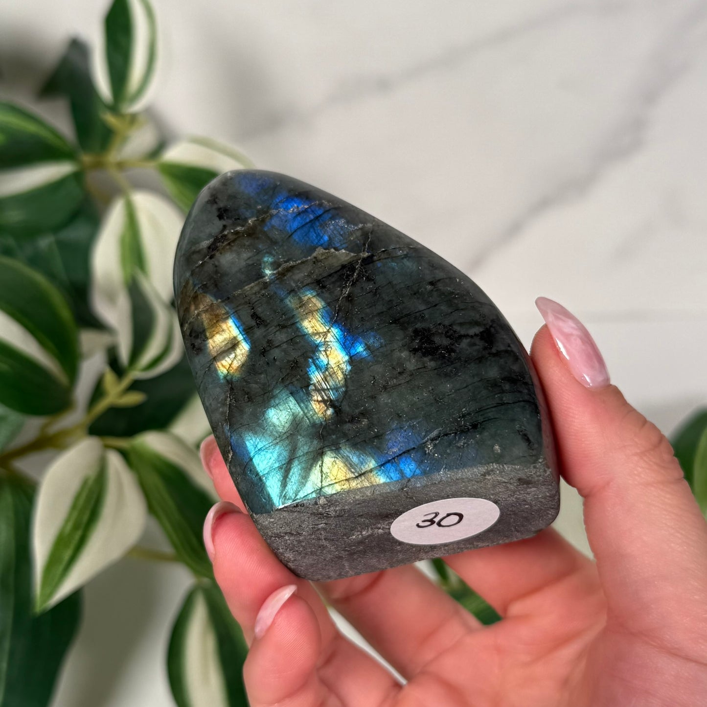 Labradorite freeform 30