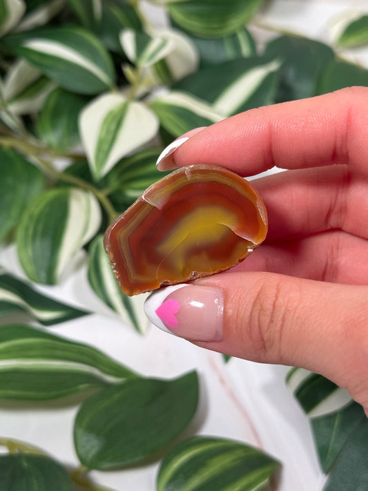 Queensland agate 40b