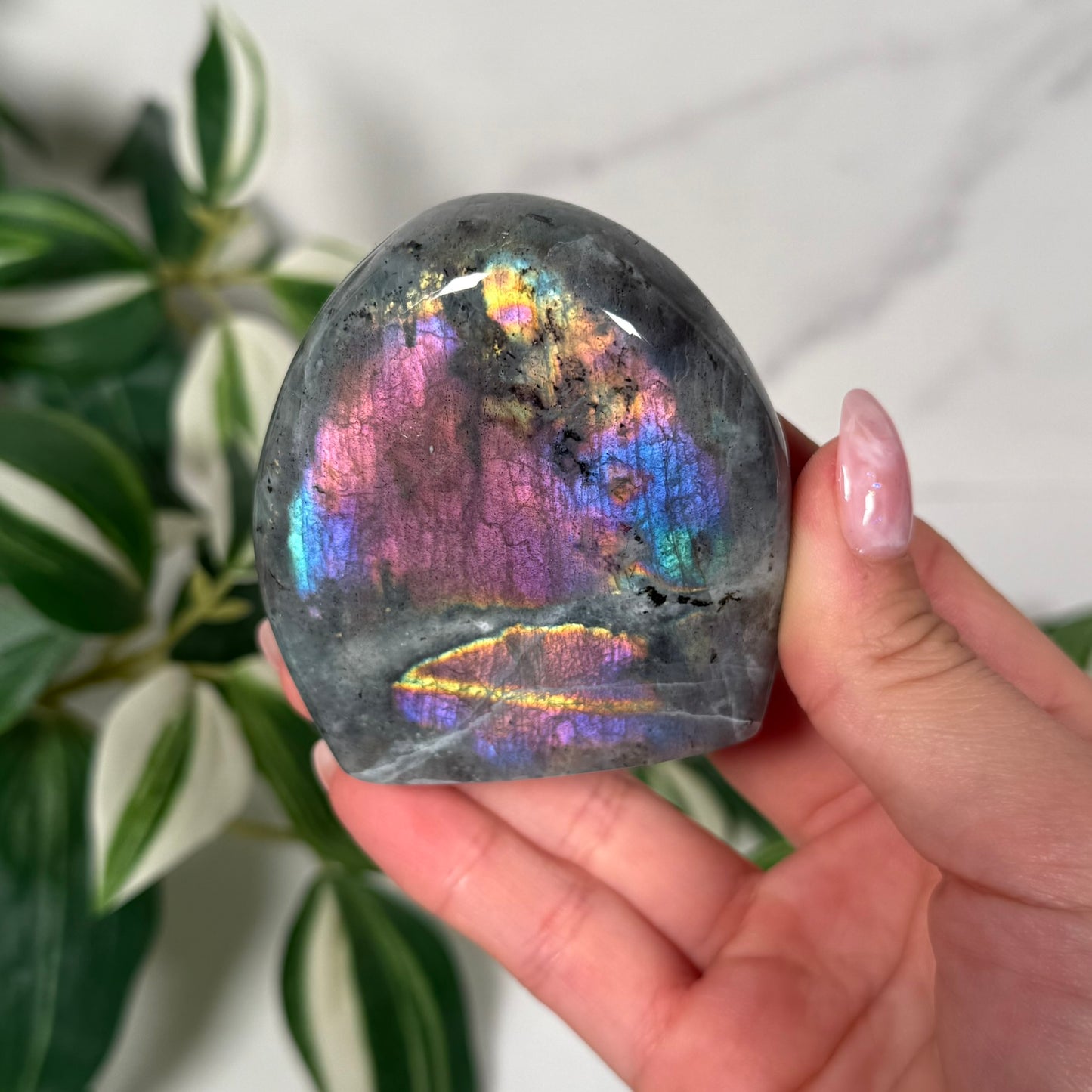 Labradorite freeform 23b