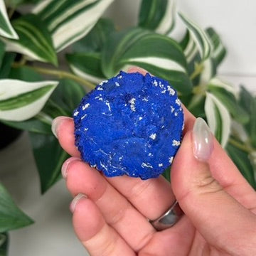 Azurite sun 56