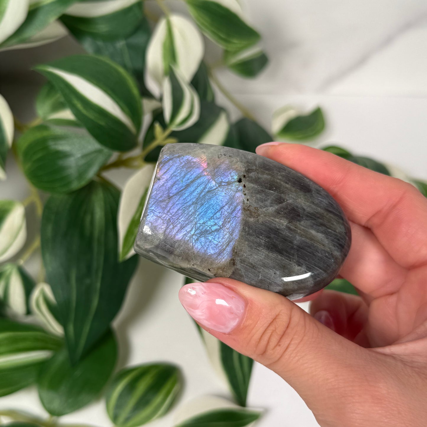 Labradorite freeform 14