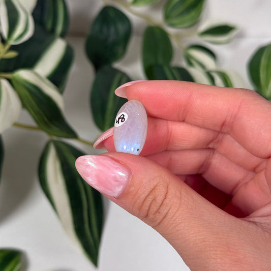 Rainbow moonstone mini shiva