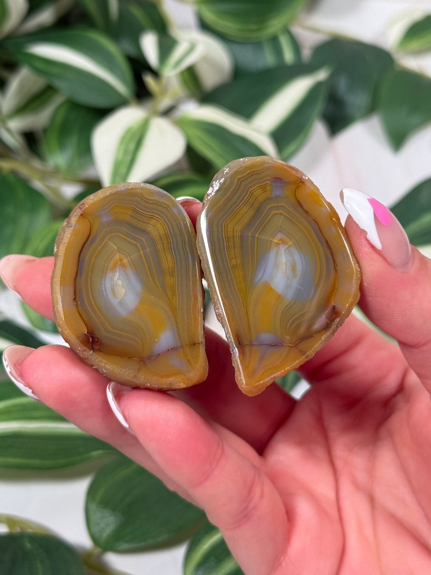 Queensland agate pair 120 (parallax)