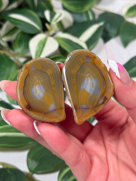 Queensland agate pair 120 (parallax)