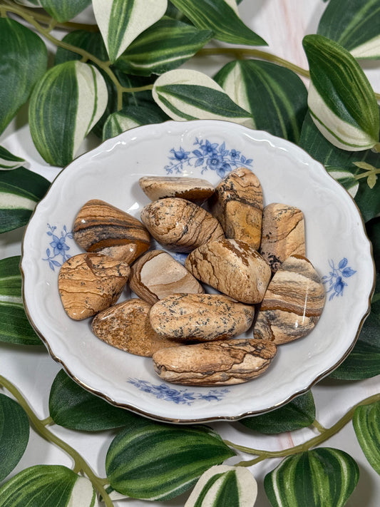 Picture jasper tumble