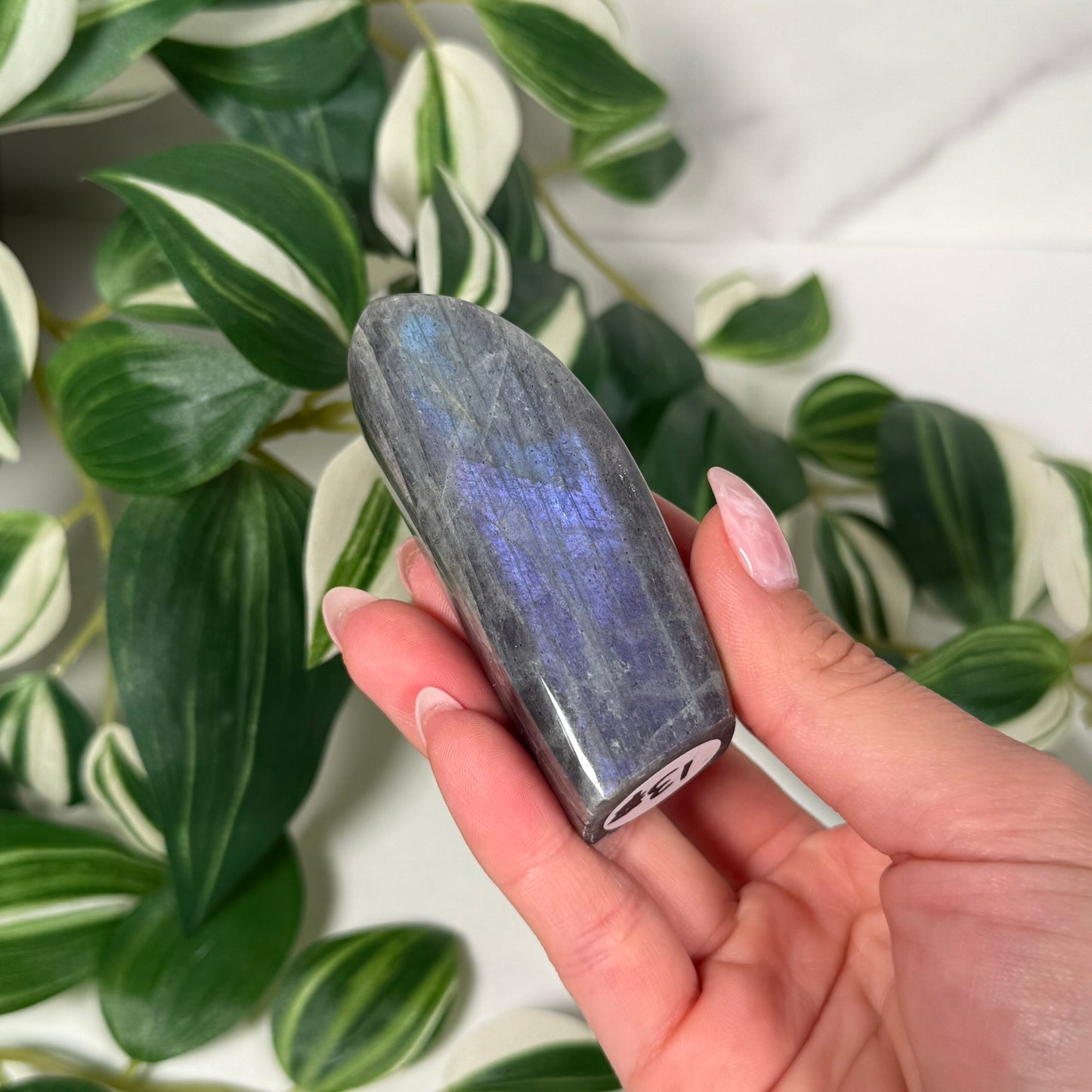 Labradorite freeform 13