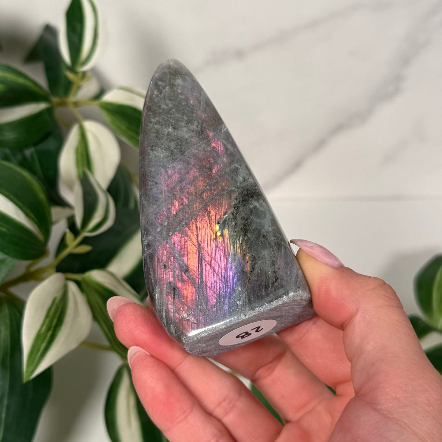 Labradorite freeform 28