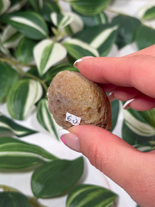 Queensland agate 60b