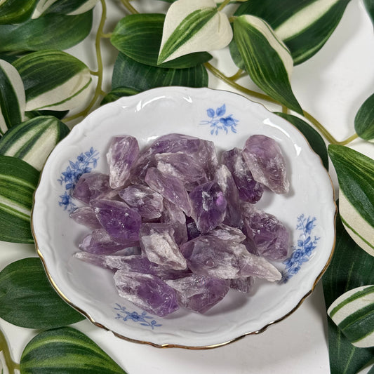 Mini amethyst root