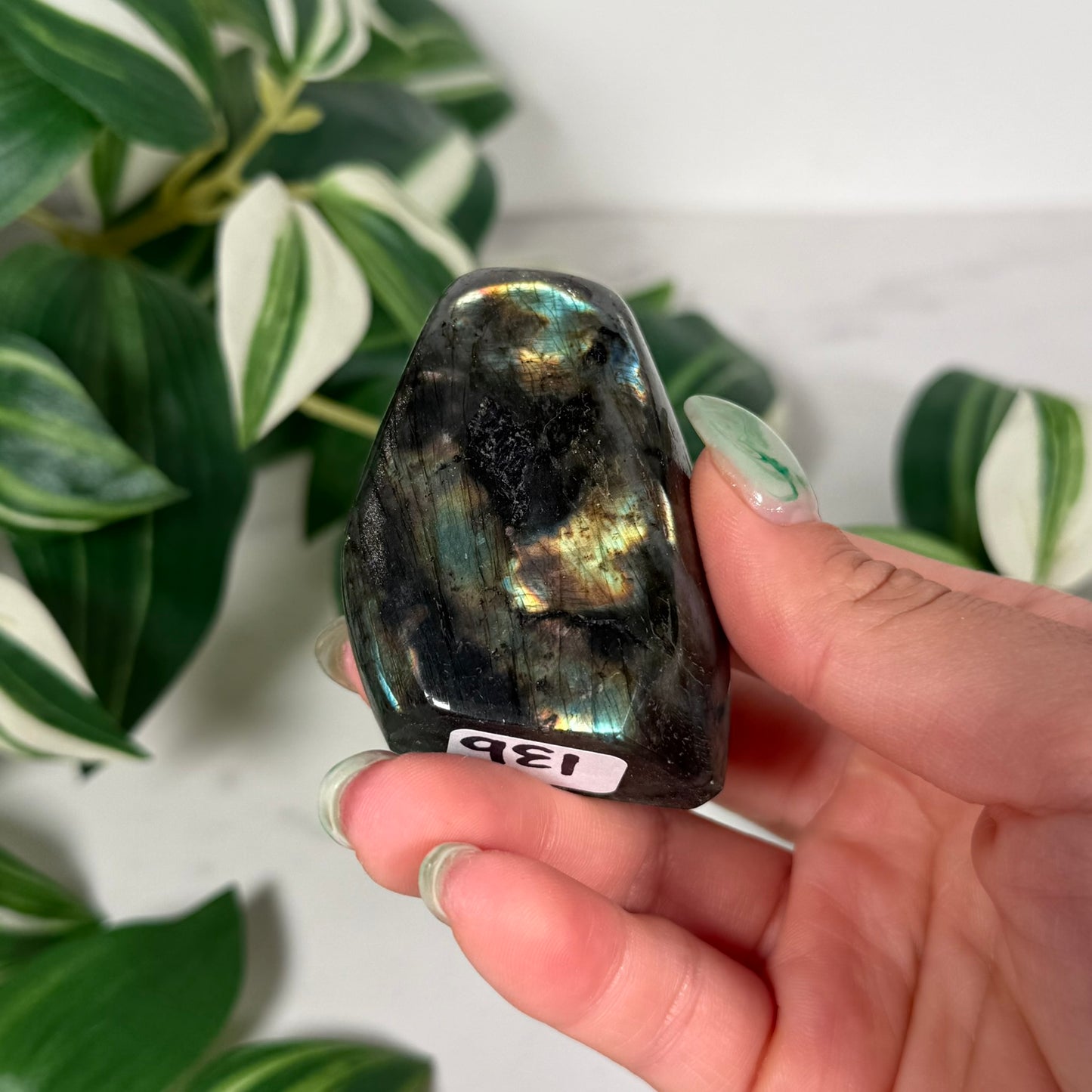 Labradorite freeform 13b