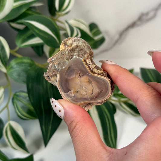 Royal imperial jasper 40