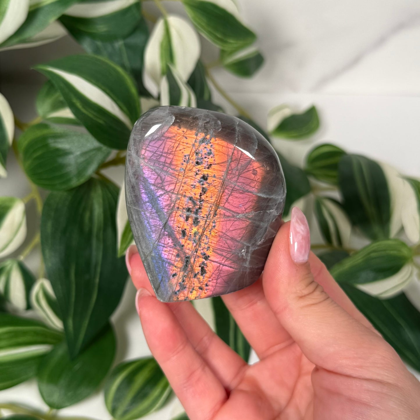 Labradorite freeform 17b