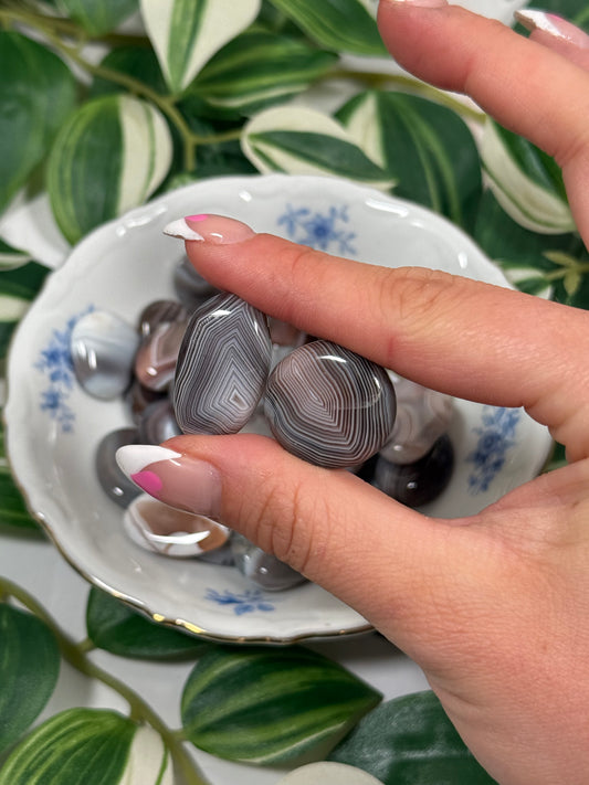 Botswana agate flat tumble - small