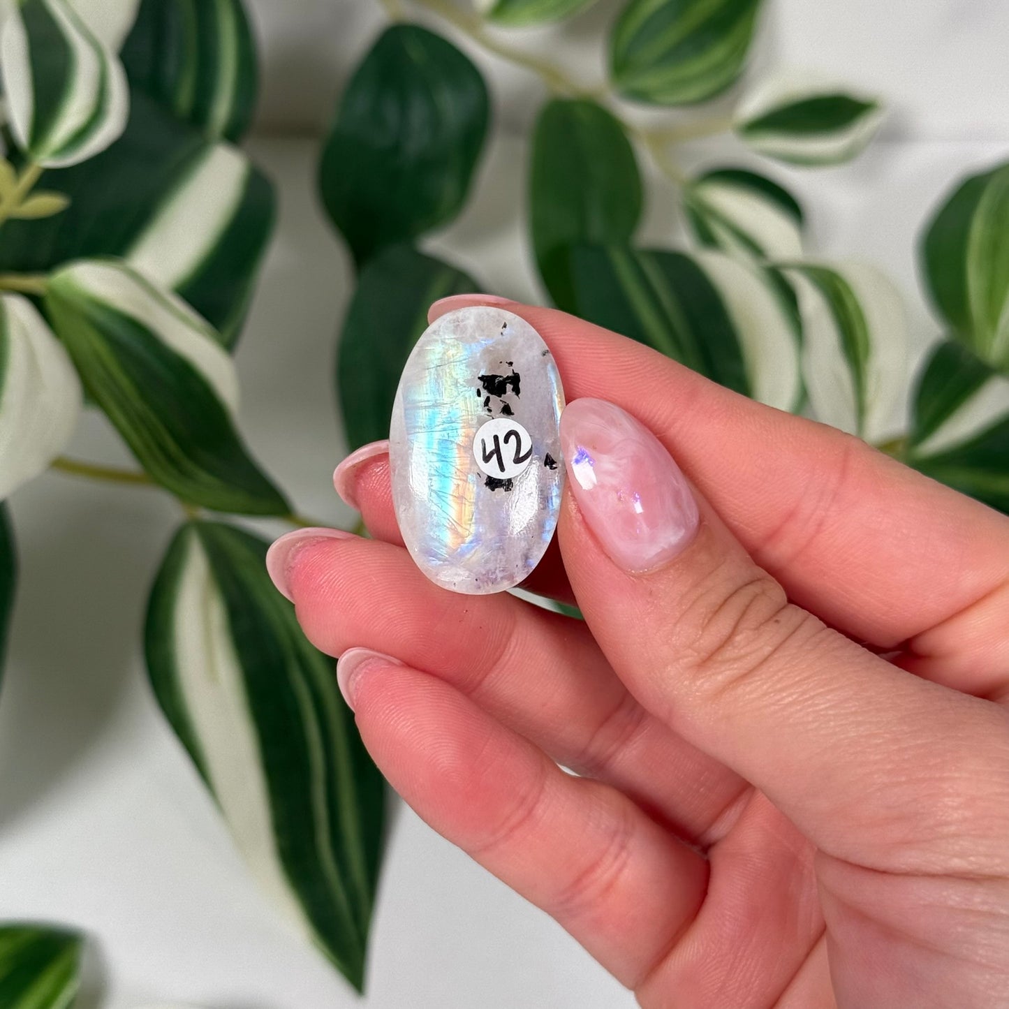 Rainbow moonstone mini palmstone