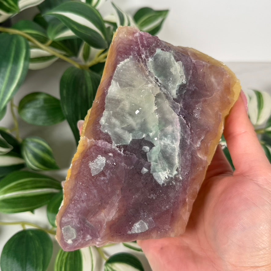 Yellow purple fluorite