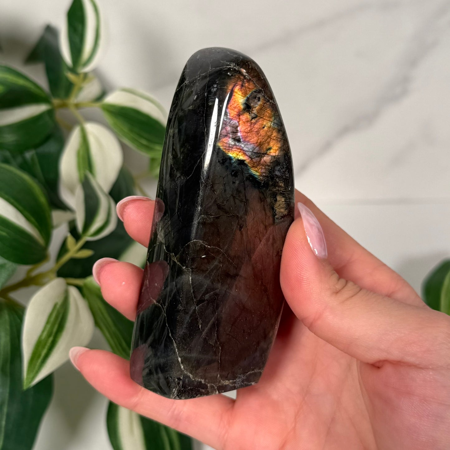 Labradorite freeform 29