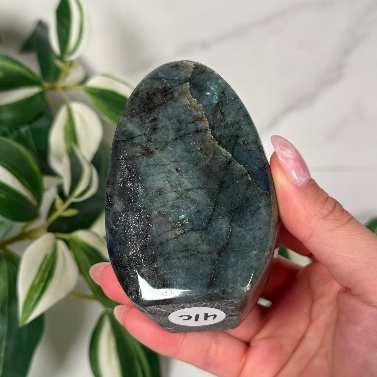Labradorite freeform 41