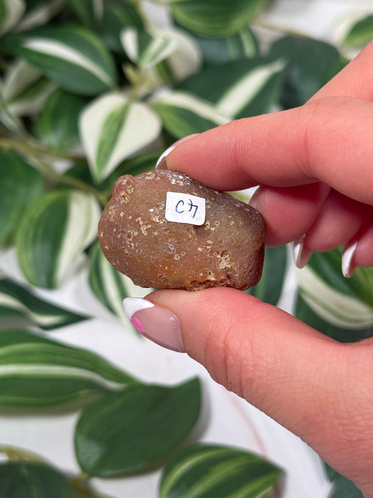 Queensland agate 40b