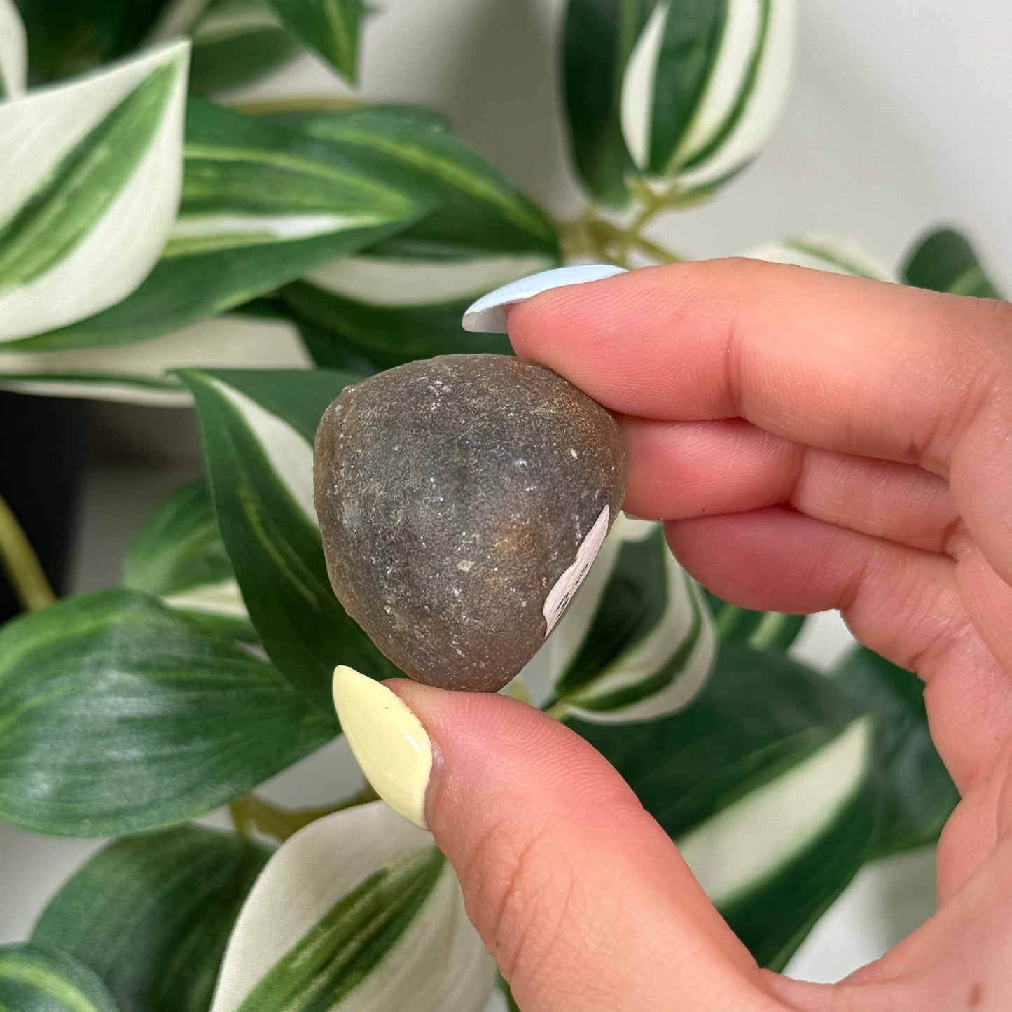 Botswana agate 30