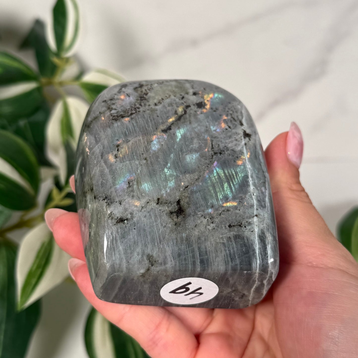 Labradorite freeform 49