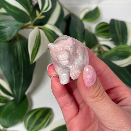 Pink opal bear