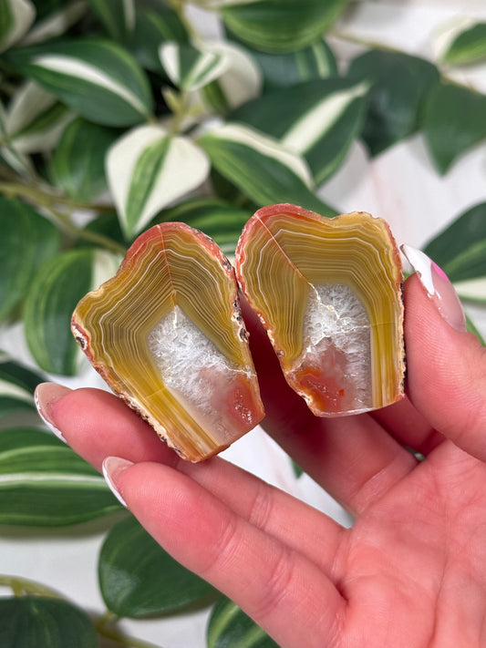 Queensland agate pair 80 (parallax)