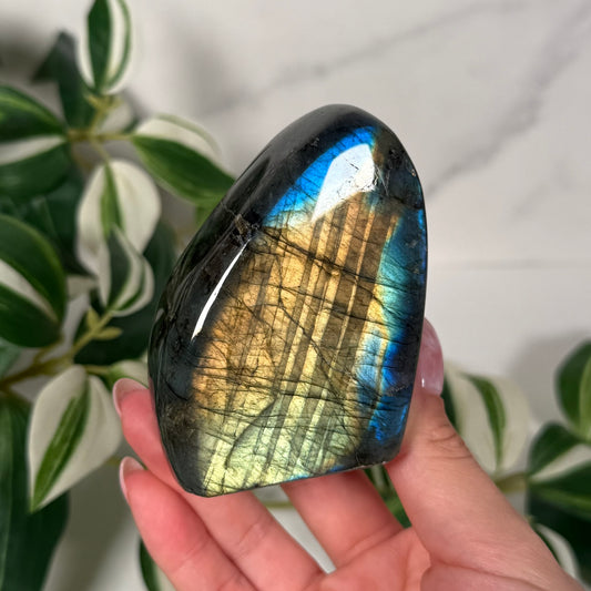 Labradorite freeform 30