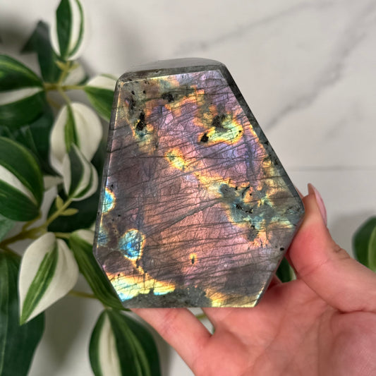 Labradorite freeform 53