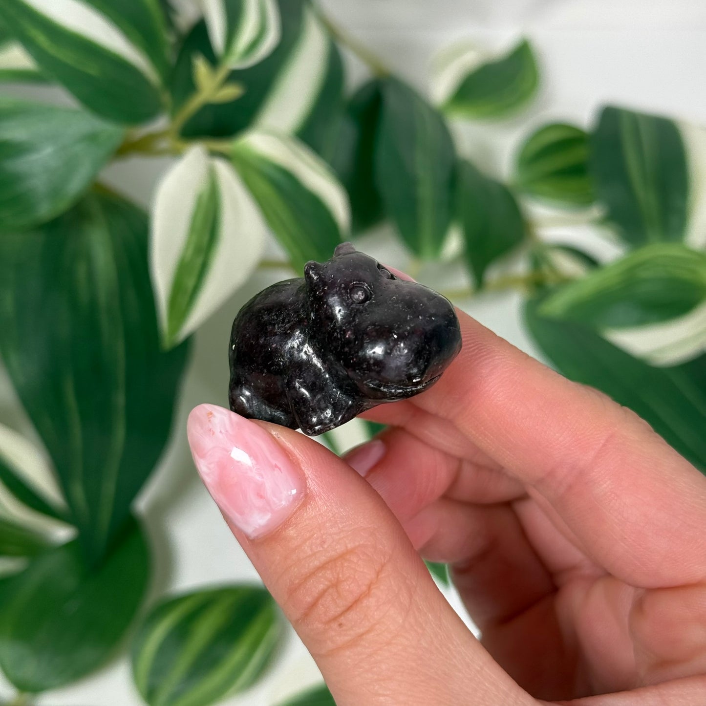 Lepidolite hippo