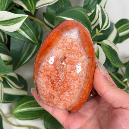 Carnelian freeform 43