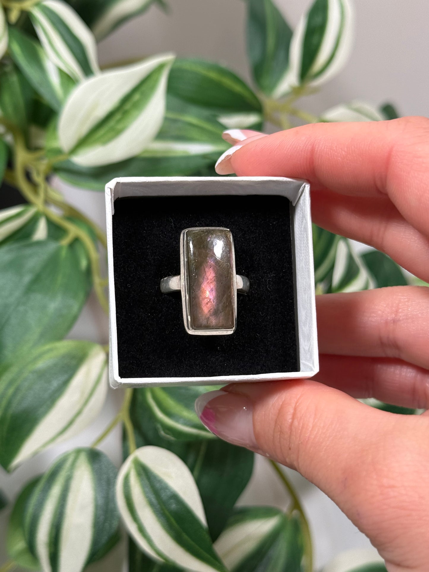 Size 7 pink labradorite ring C