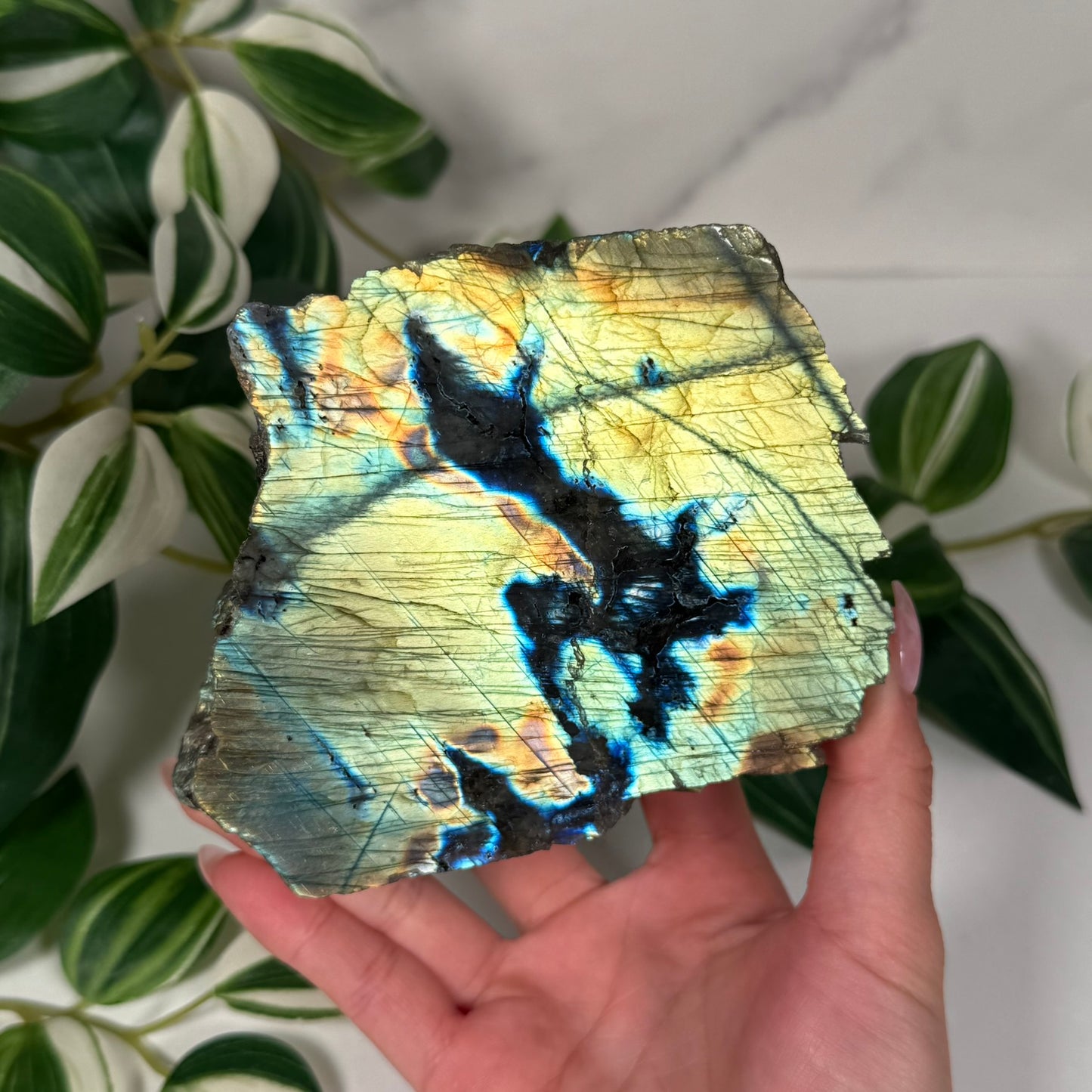 Labradorite partially polished freeform 56