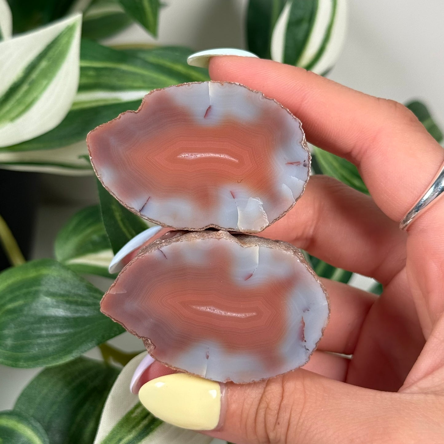 Swazi agate pair 120