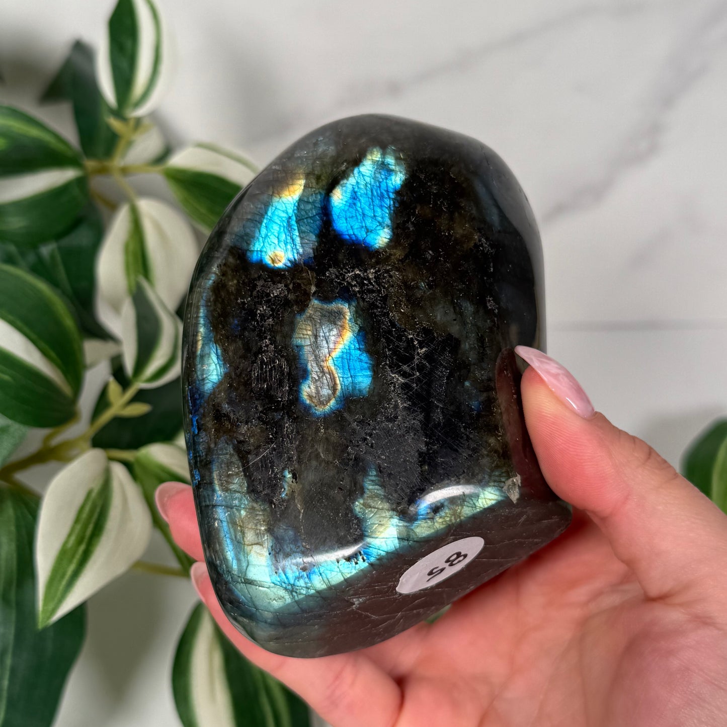 Labradorite freeform 85