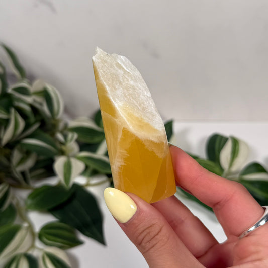 Honeycomb calcite freeform 18