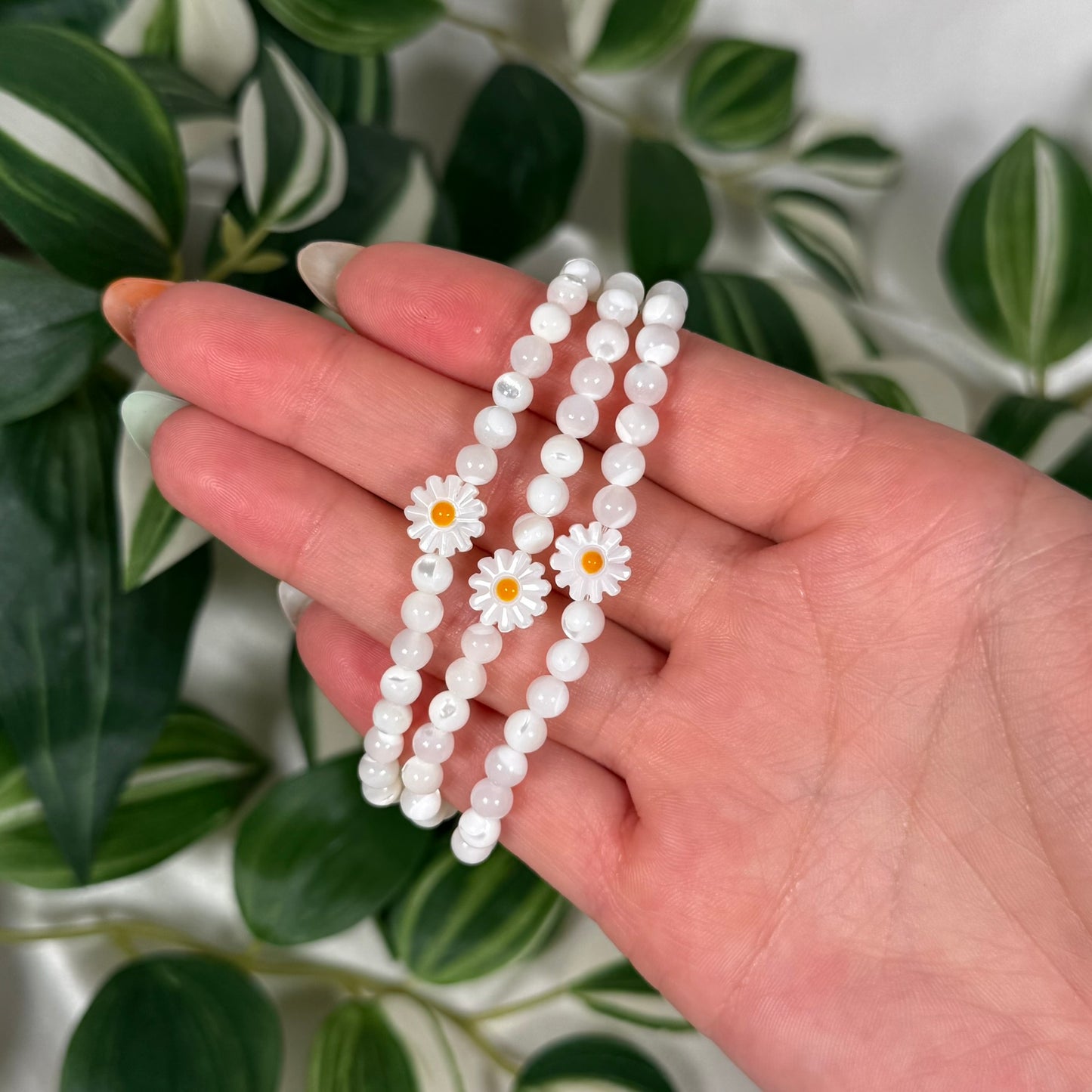 Mother of pearl w/ daisy charm bracelet 5mm