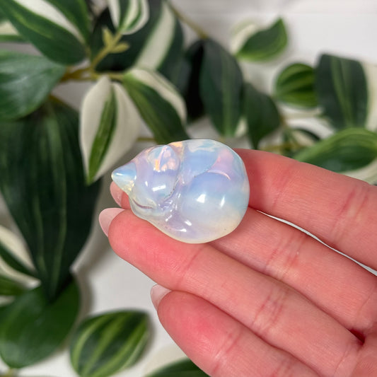 Opalite sleeping cat