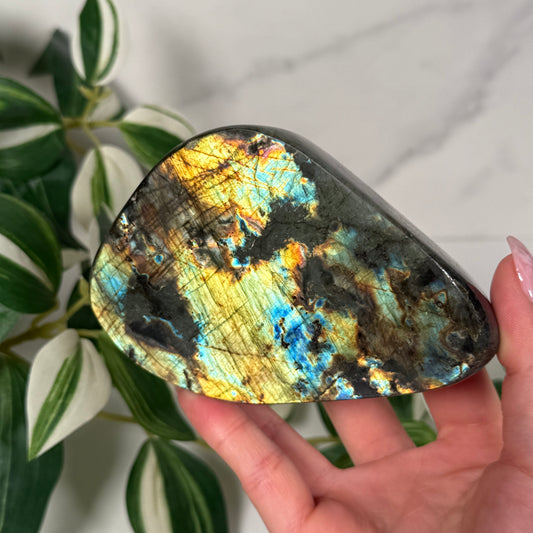 Labradorite freeform 55