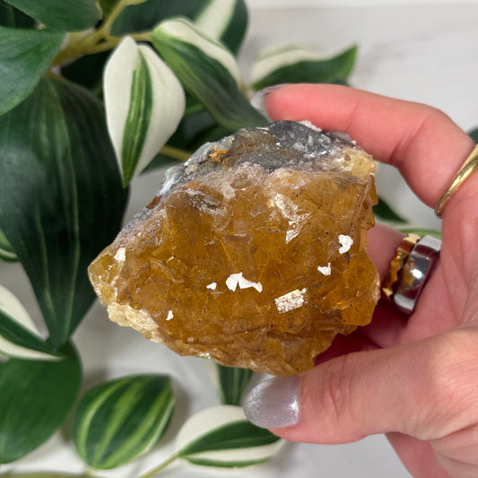 Moscona mine yellow fluorite 48
